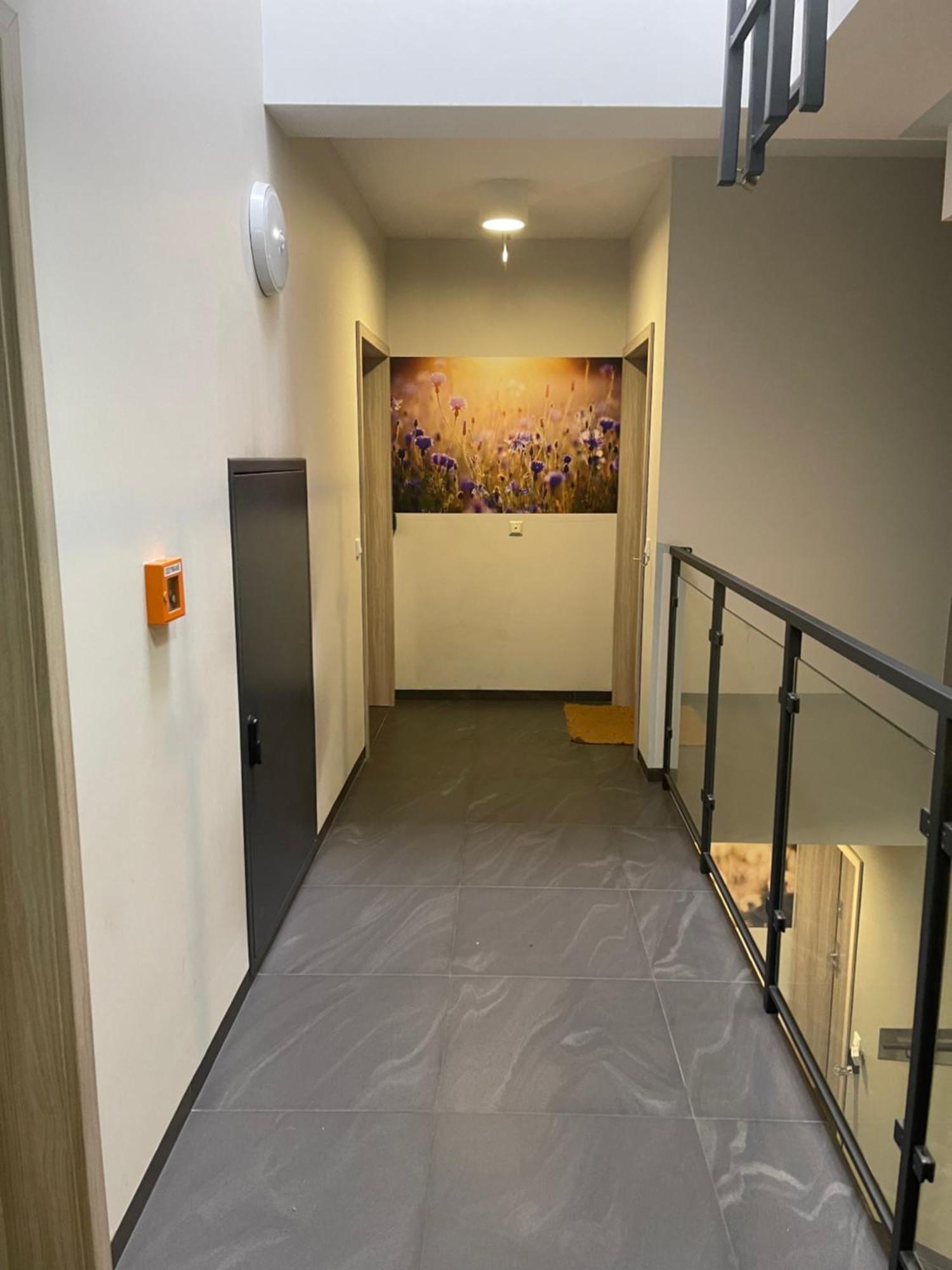 Sunflower Apartment Old Town كراكوفيا المظهر الخارجي الصورة